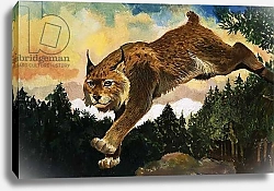 Постер Бэкхаус Д. (совр) Lynx