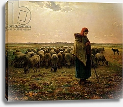 Постер Милле, Жан-Франсуа Shepherdess with her Flock, 1863