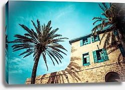 Постер Дом с пальмами в Яффо, на юге старой части Тель-Авива, Израиль