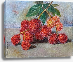 Постер Рамбутан - тропический фрукт Малайзии