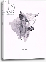 Постер Торнбурн Арчибальд (Бриджман) Park Cattle, 1938