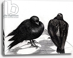 Постер Мониц Коламбус Нэнси (совр) Serious Pigeon Situation, 2012,