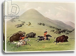 Постер Кэтлин Джордж The Buffalo Hunt, c.1832