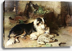Постер Хант Уолтер Motherless: The Shepherd's Pet, 1897