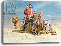 Постер Хааг Карл A Nomad and His Camel Resting in the Desert, 1874