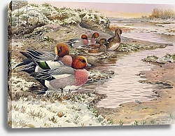 Постер Даннер Карл (совр) Daybreak on the Washes - Wigeon