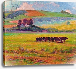 Постер Тиндалл Роберт (совр) Evening Cattle, Cuckmere Valley, Sussex