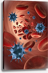 Постер Вирусы и эритроциты