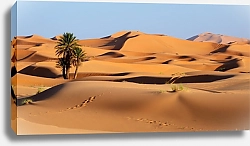 Постер Марокко. Sand dunes of Sahara desert