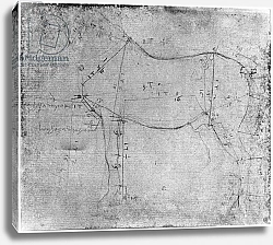 Постер Леонардо да Винчи (Leonardo da Vinci) Study of a Horse