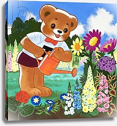 Постер Филлипс Уильям (дет) Teddy Bear 349