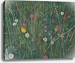 Постер Эдиналл Рут (совр) Plants of the Machair, 2008