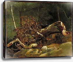 Постер Михалон Ашиль The Fallen Branch, Fontainebleau, c.1816