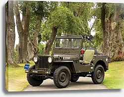 Постер Willys M38 Jeep (MC) '1950–52