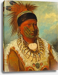 Постер Кэтлин Джордж The White Cloud, Head Chief of the Iowas, 1844-45