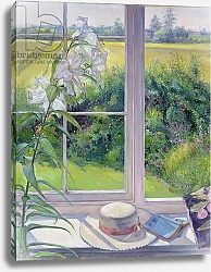 Постер Истон Тимоти (совр) Window Seat and Lily, 1991