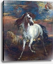 Постер Неизвестен Лошади Ахиллеса