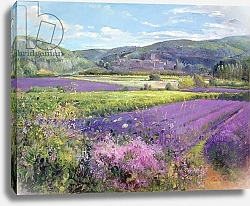 Постер Истон Тимоти (совр) Lavender Fields in Old Provence