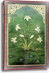 Постер Бриско Марк (совр) White Lilies