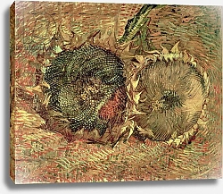 Постер Ван Гог Винсент (Vincent Van Gogh) Two Cut Sunflowers, 1887