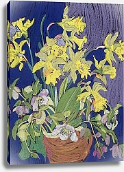 Постер Тринор Франсис (совр) Daffodils with Jug