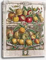 Постер Кастилс Питер April, from 'Twelve Months of Fruits', by Robert Furber engraved by J. Clark, 1732