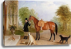 Постер Фернли Джон A Groom with a Horse