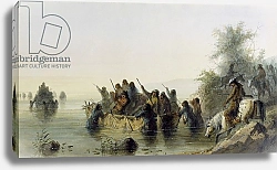 Постер Миллер Якоб Альфред Bull Boating, 1858-60