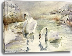 Постер Армитаж Карен (совр) Swans in Winter