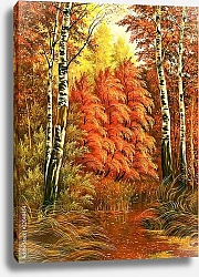 Постер Осенний лес с березками