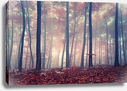 Постер Туманный осенний лес №2