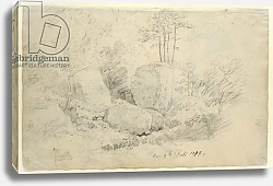 Постер Фридрих Каспар (Caspar David Friedrich) Boulders in Woodland, 1800