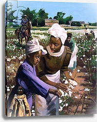 Постер Бутман Колин (совр) Cotton Pickers, 2003
