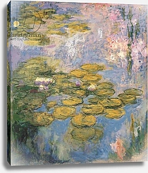 Постер Моне Клод (Claude Monet) Nymphéas, 1916-19 1