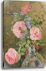 Постер Холланд Джеймс Roses, Convolvulus and Delphiniums