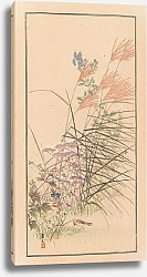 Постер Сакухиро Нанбара Shūbi gakan, Pl.03