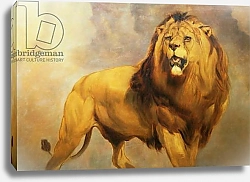 Постер Хаггинс Уильям Lion 1
