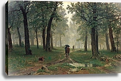 Постер Шишкин Иван Дождь в дубовом лесу. 1891