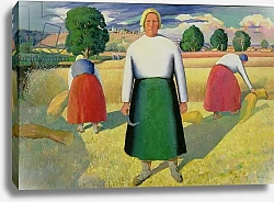 Постер Малевич Казимир The Harvesters, 1909-10