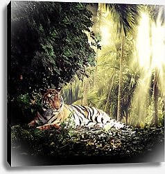 Постер Индийский тигр в джунглях