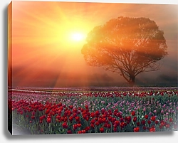 Постер Дерево на поле тюльпанов