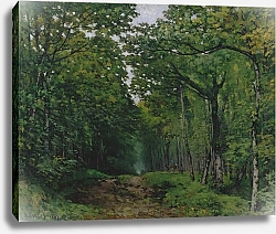 Постер Сислей Альфред (Alfred Sisley) The Avenue of Chestnut Trees at La Celle-Saint-Cloud, 1867