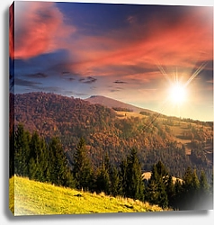 Постер Зелёный лес на склоне холма на закате