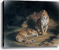 Постер Хаггинс Уильям A Pair of Leopards, 1845