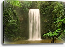 Постер Водопад. Квинсленд. Австралия