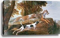 Постер Деспортес Александр The Wolf Hunt, c.1720