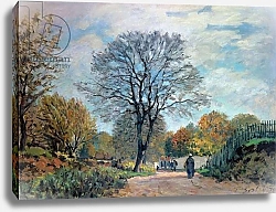 Постер Сислей Альфред (Alfred Sisley) A Road in Seine-et-Marne, 1878