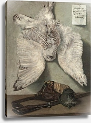 Постер Пуркин Карел Snowy Owl