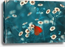Постер Красно-коричневая бабочка среди полевых цветов
