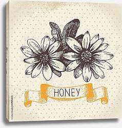 Постер Иллюстрация с медовыми цветами